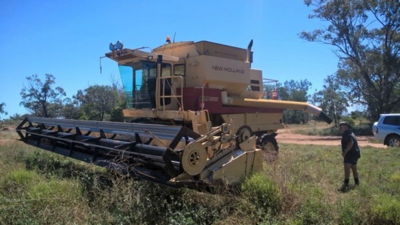 1984 NEW HOLLAND TR95 TR95 TR95 HarvesterHeader