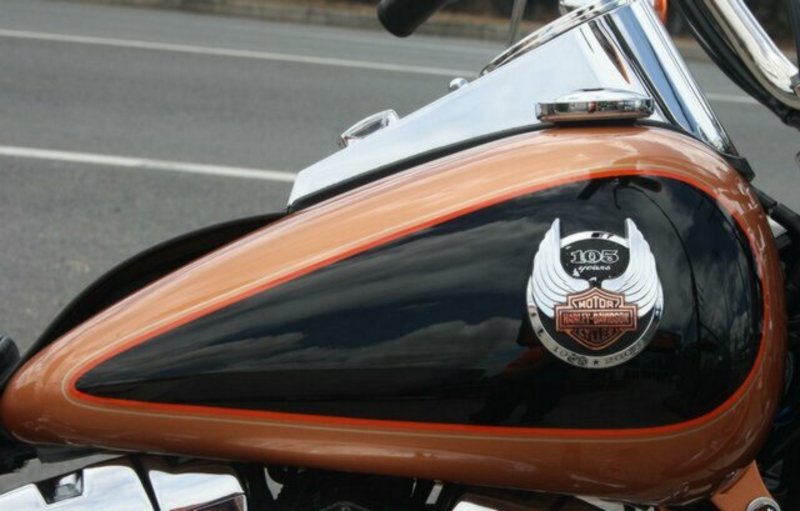 2008 HARLEY-DAVIDSON FXSTC Softail Custom 2008 Model1704