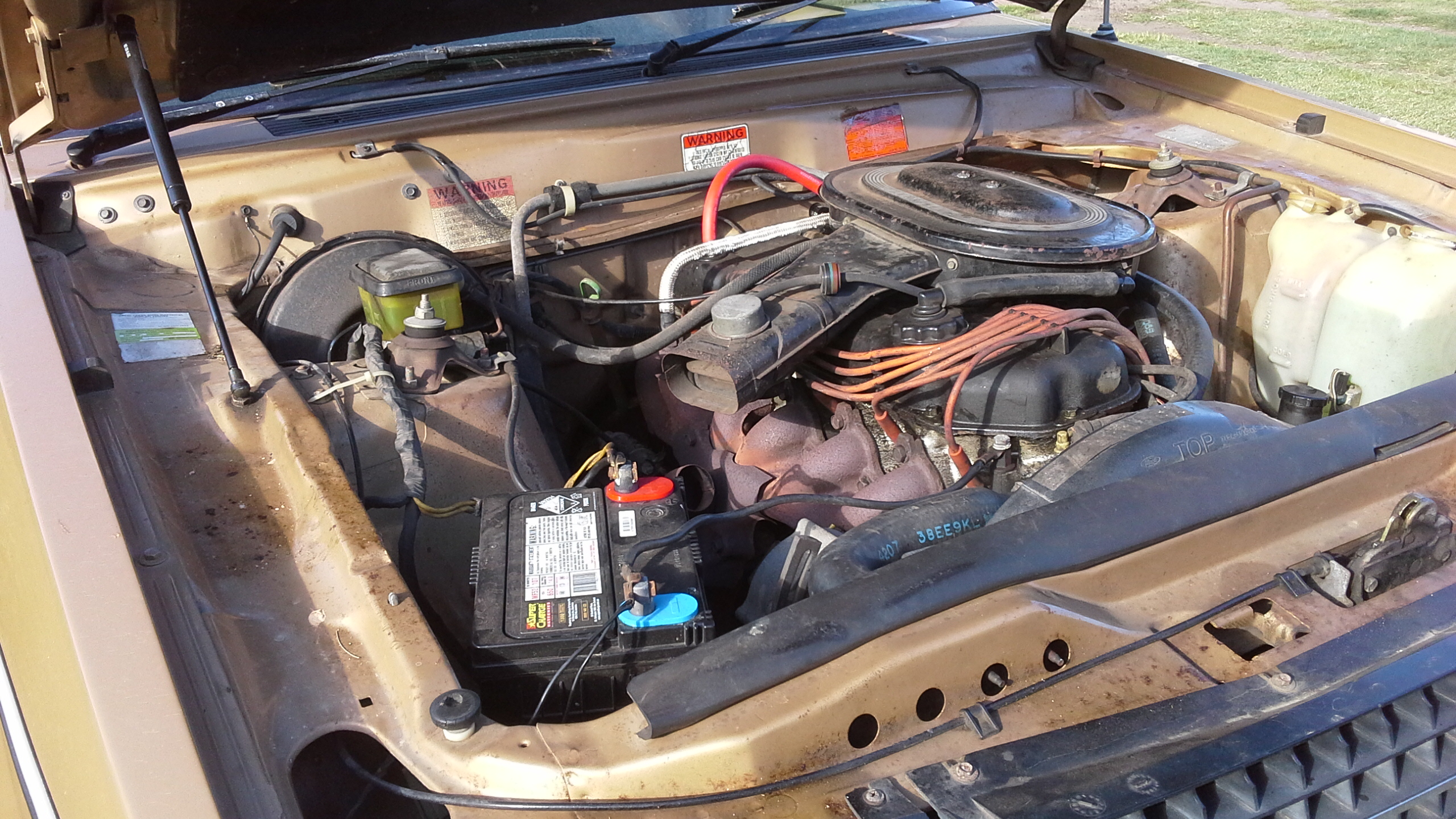 1981 FORD FAIRLANE ZJ 4D SEDAN 