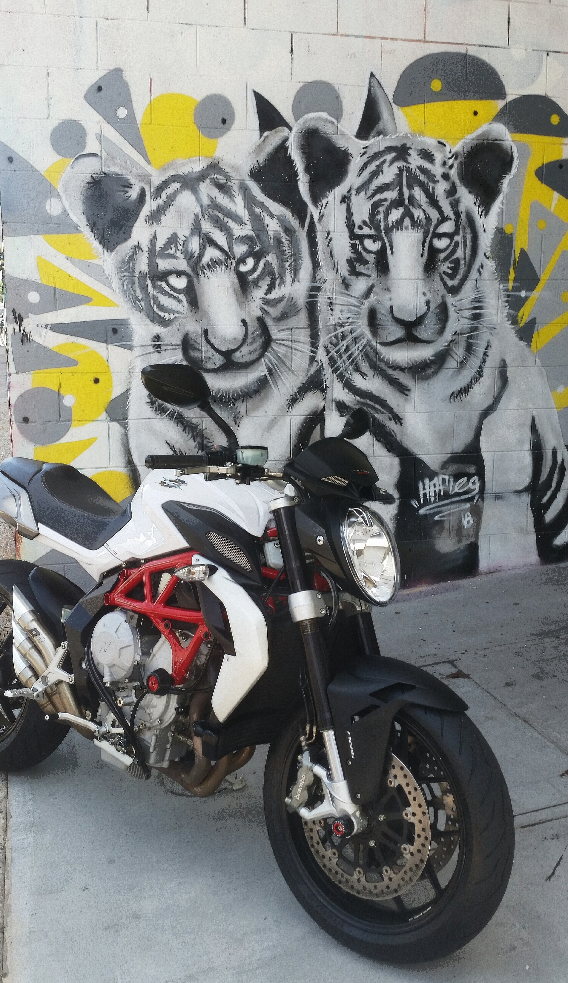 2015 M.V. AGUSTA BRUTALE 800 EAS SPORTS