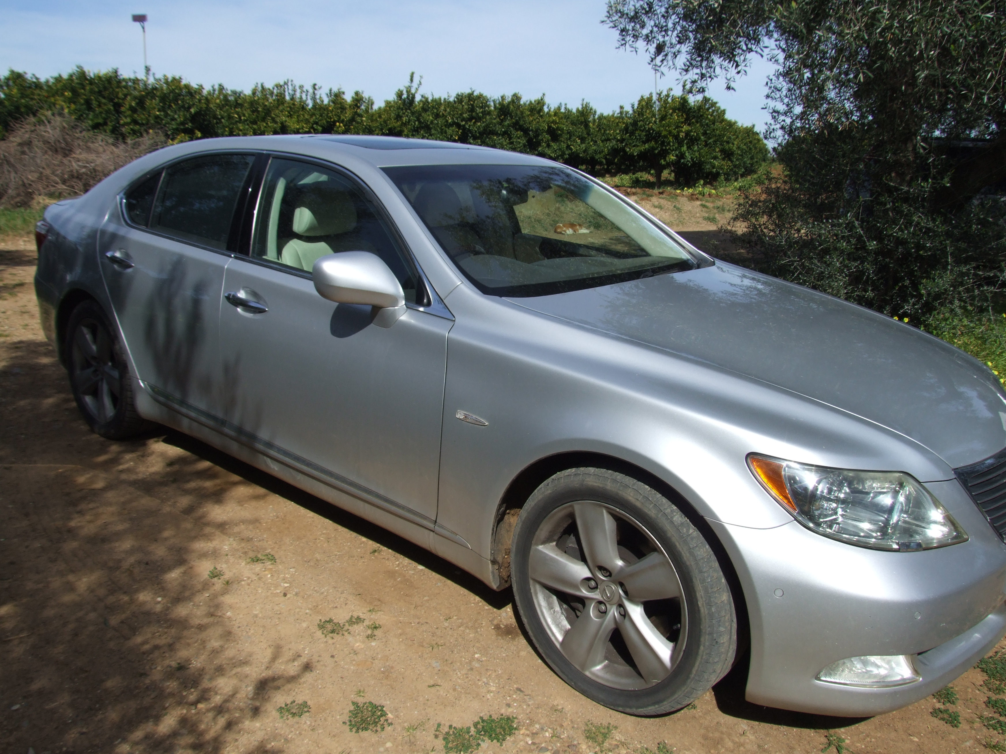 2007 LEXUS LS460. 