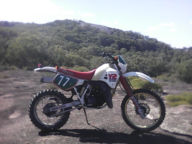 1987 YAMAHA YZ 250 T ANNAND & THOMPSON 