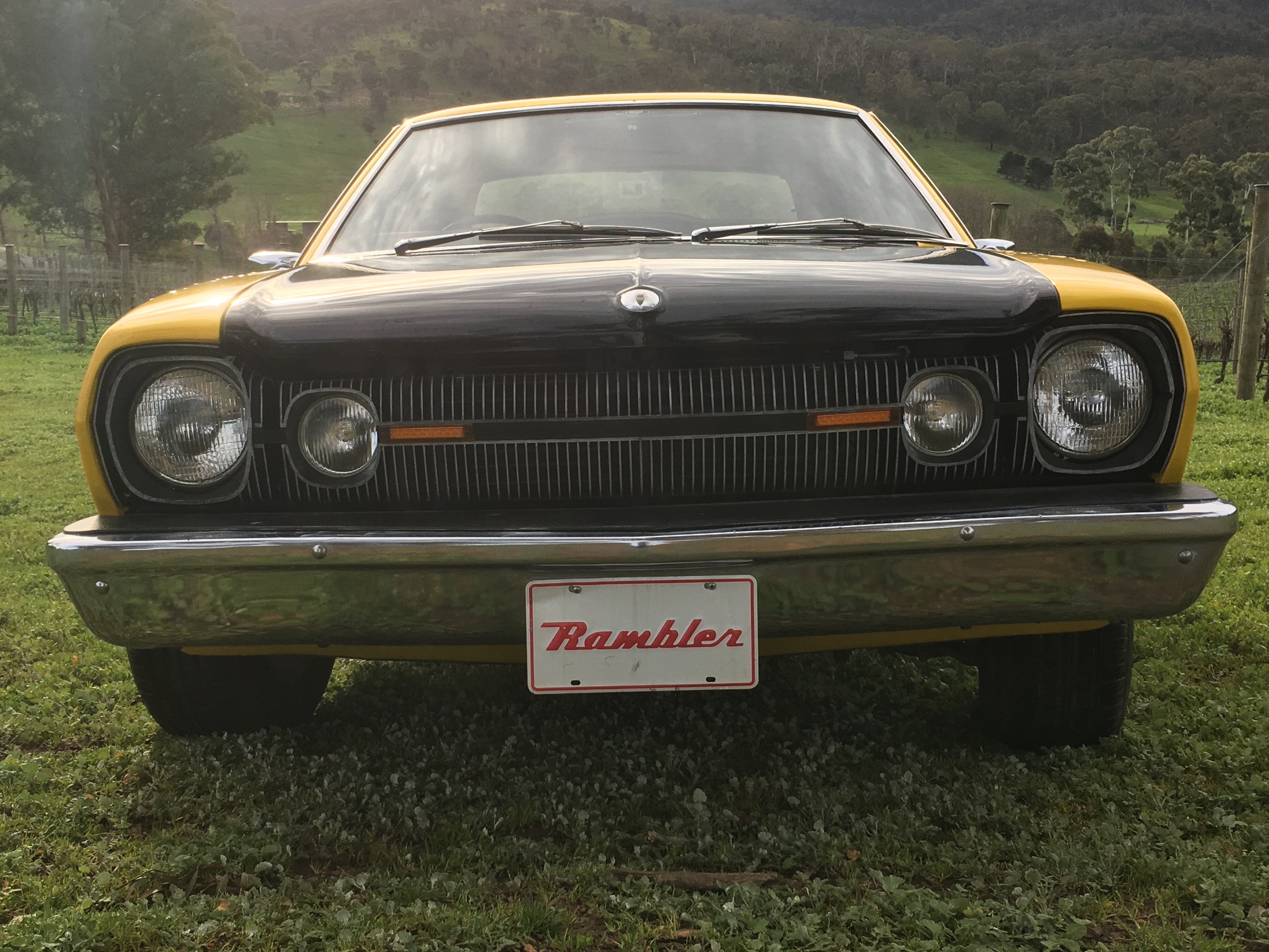 1975 RAMBLER HORNET
