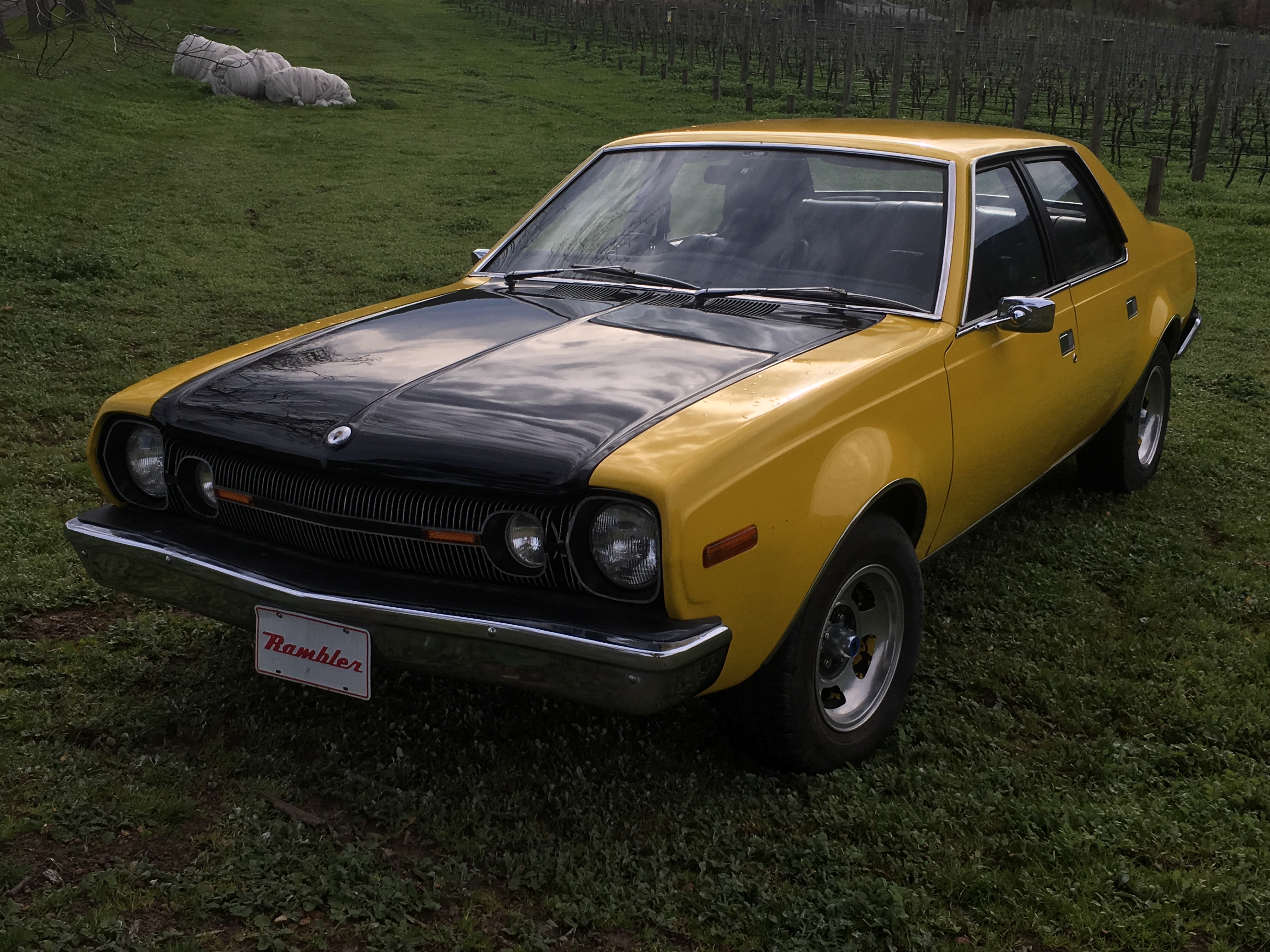 1975 RAMBLER HORNET 