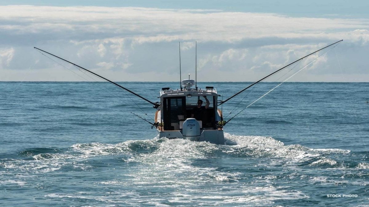 2024 HERLEY COMMANDER SPORT FISHER