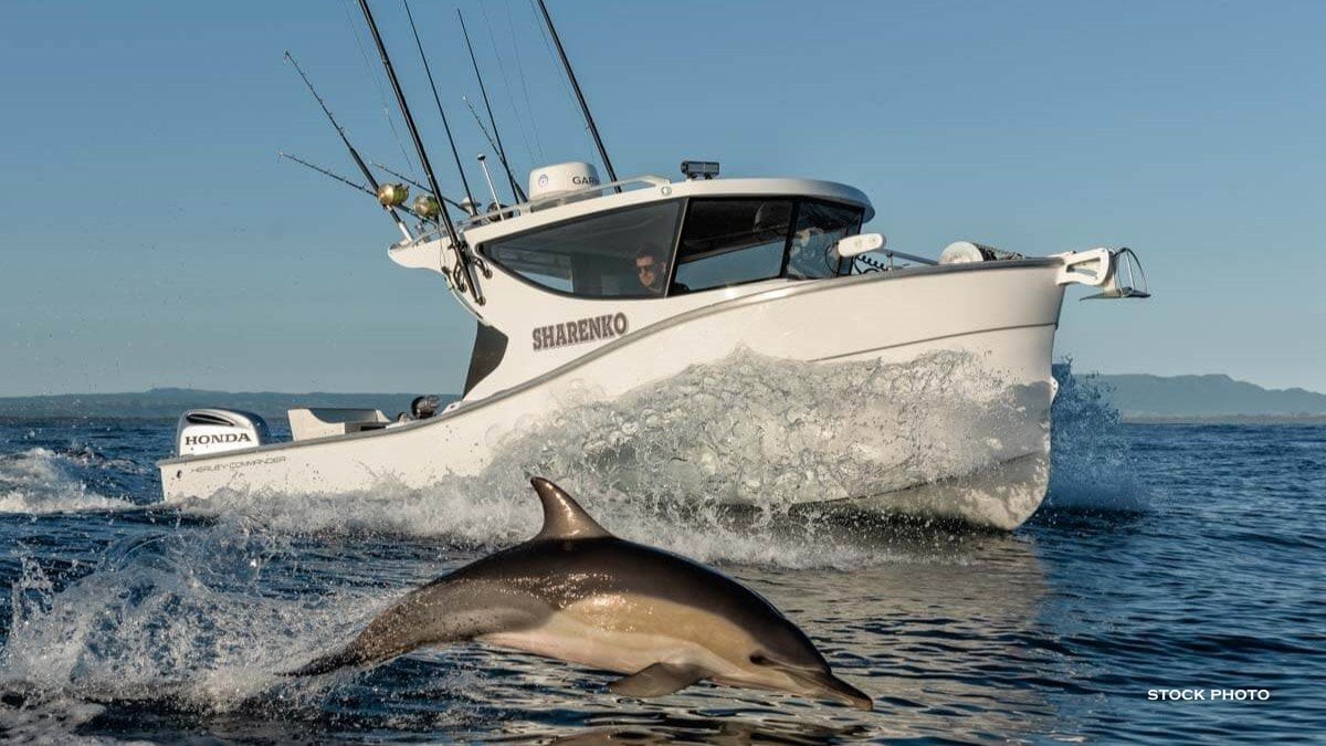 2024 HERLEY COMMANDER SPORT FISHER