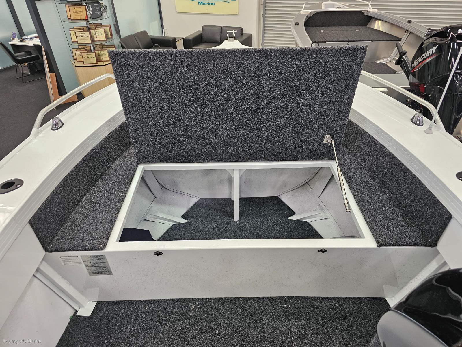2025 QUINTREX 540 TOP ENDER PRO FISHER