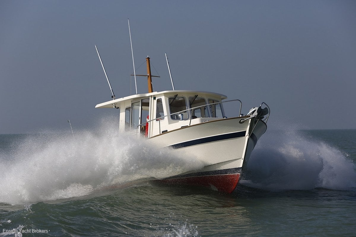 RHEA 800 TIMONIER CRUISER