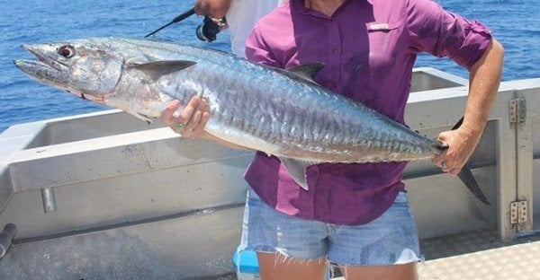 MACKEREL UNIT FOR LEASE