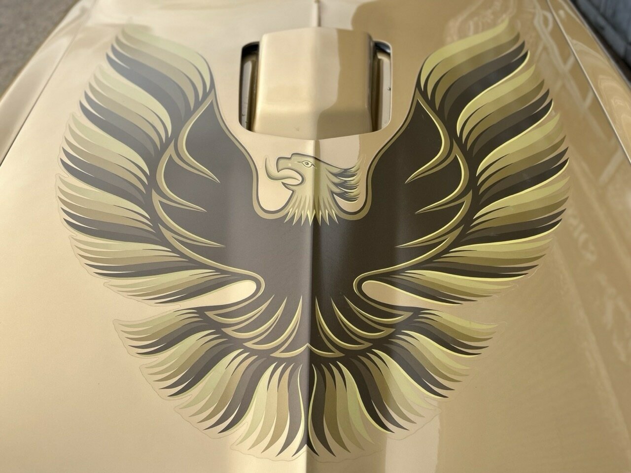 1979 PONTIAC FIREBIRD TRANS AM 3 SP AUTOMATIC COUPE