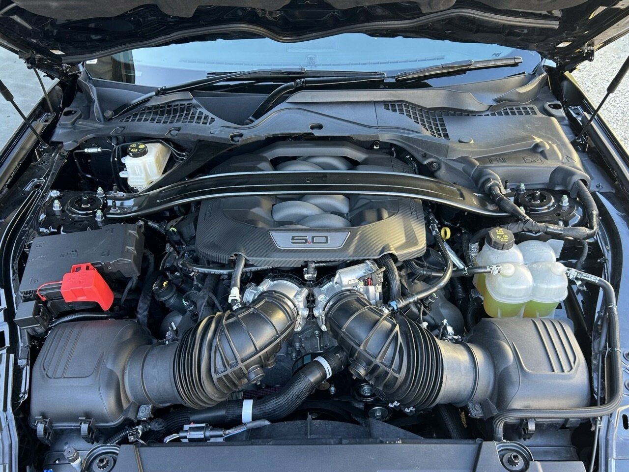 2024 FORD MUSTANG FN MY23 GT 5.0 V8 6 SP MANUAL 2D FASTBACK