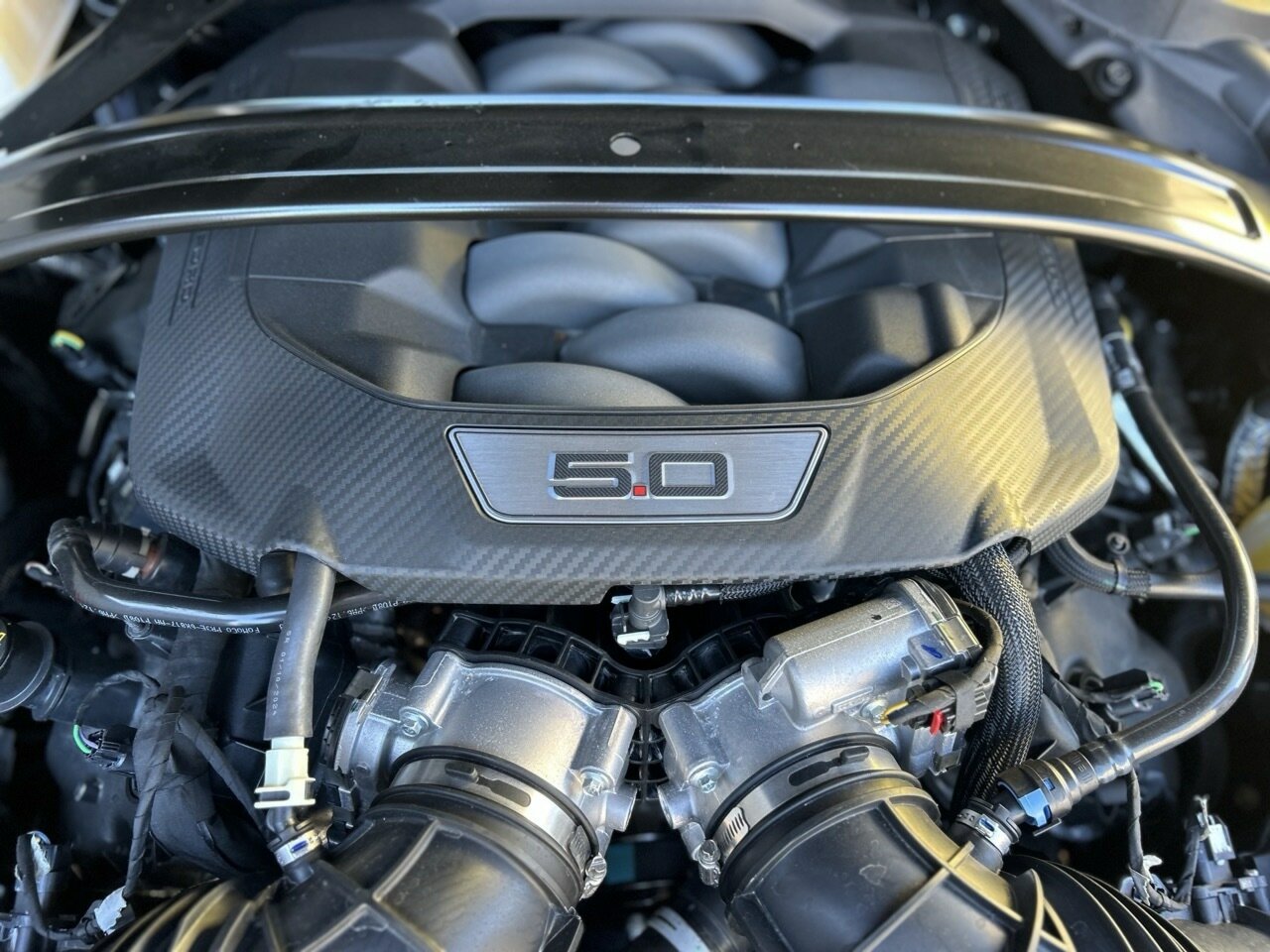 2024 FORD MUSTANG FN MY23 GT 5.0 V8 6 SP MANUAL 2D FASTBACK