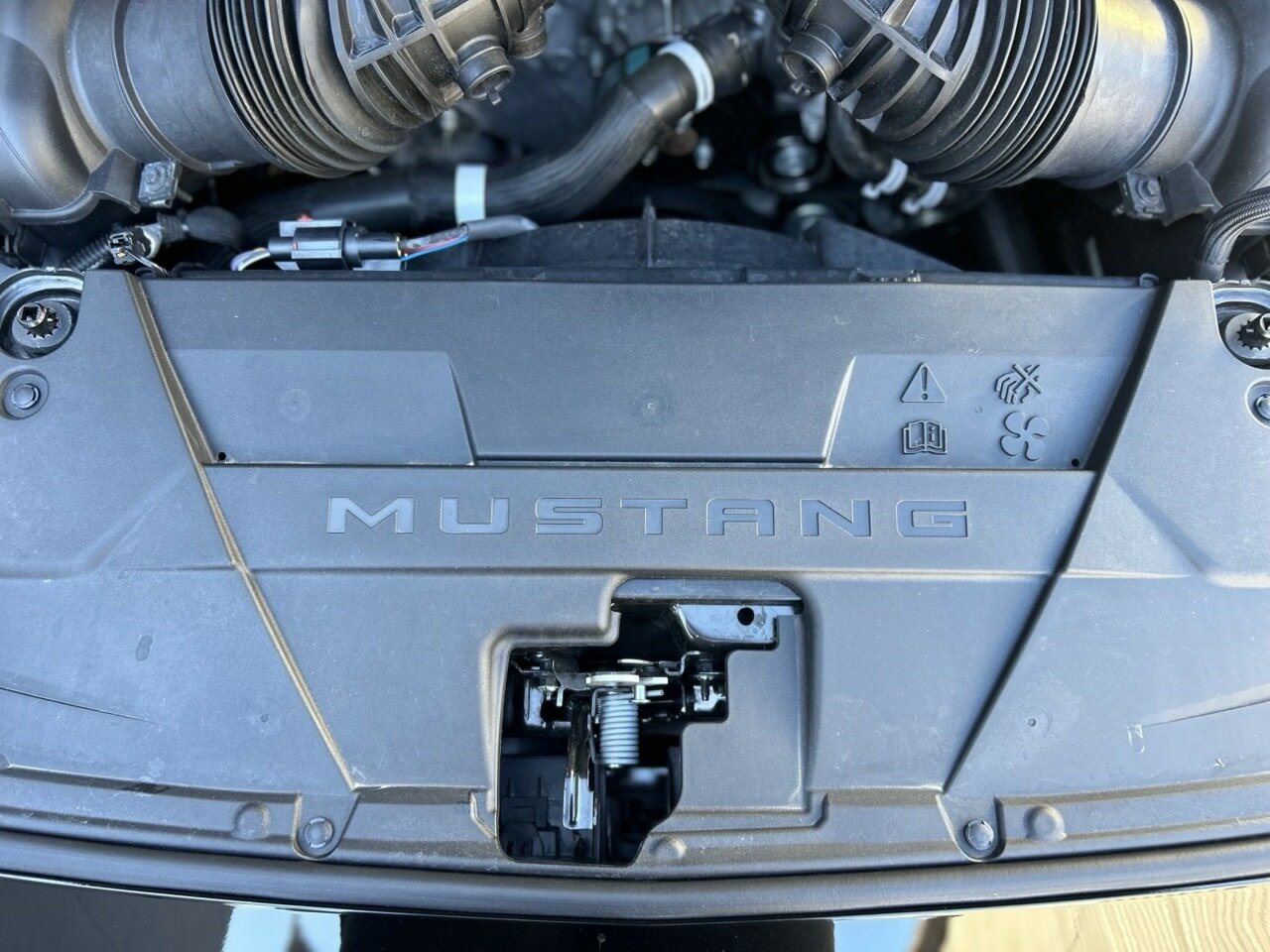 2024 FORD MUSTANG FN MY23 GT 5.0 V8 6 SP MANUAL 2D FASTBACK