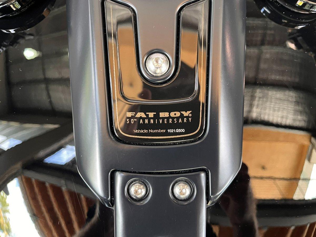 2020 HARLEY-DAVIDSON FLFBSANV FAT BOY 114 30TH ANNI CRUISER