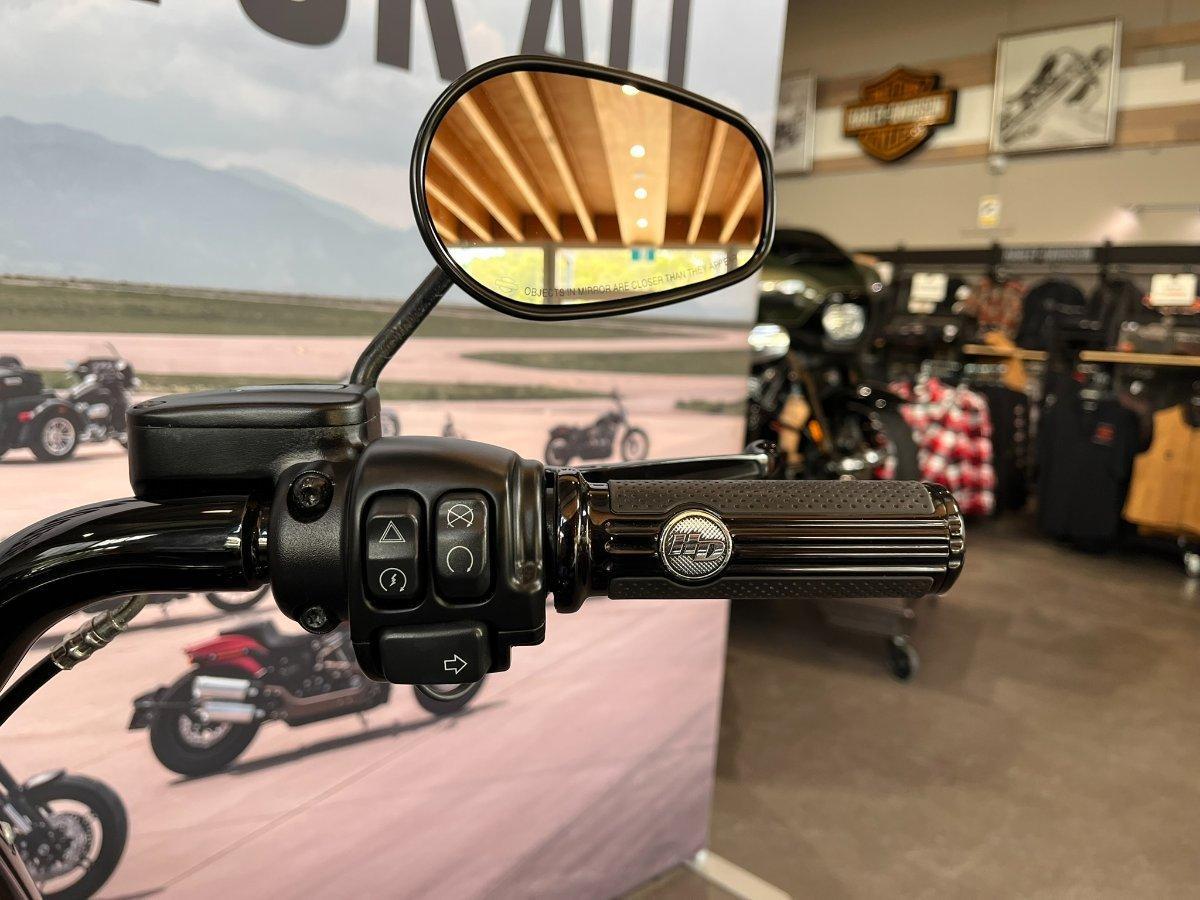 2020 HARLEY-DAVIDSON FLFBSANV FAT BOY 114 30TH ANNI CRUISER