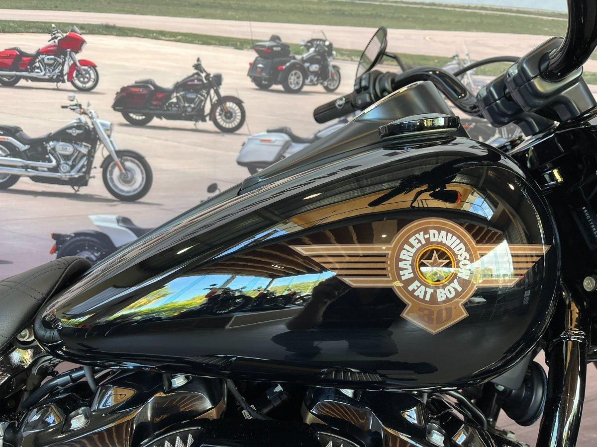 2020 HARLEY-DAVIDSON FLFBSANV FAT BOY 114 30TH ANNI CRUISER