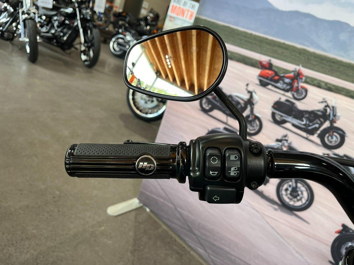 2020 HARLEY-DAVIDSON FLFBSANV FAT BOY 114 30TH ANNI CRUISER