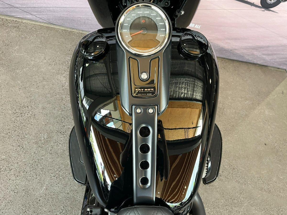 2020 HARLEY-DAVIDSON FLFBSANV FAT BOY 114 30TH ANNI CRUISER