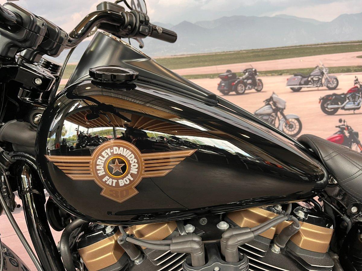 2020 HARLEY-DAVIDSON FLFBSANV FAT BOY 114 30TH ANNI CRUISER