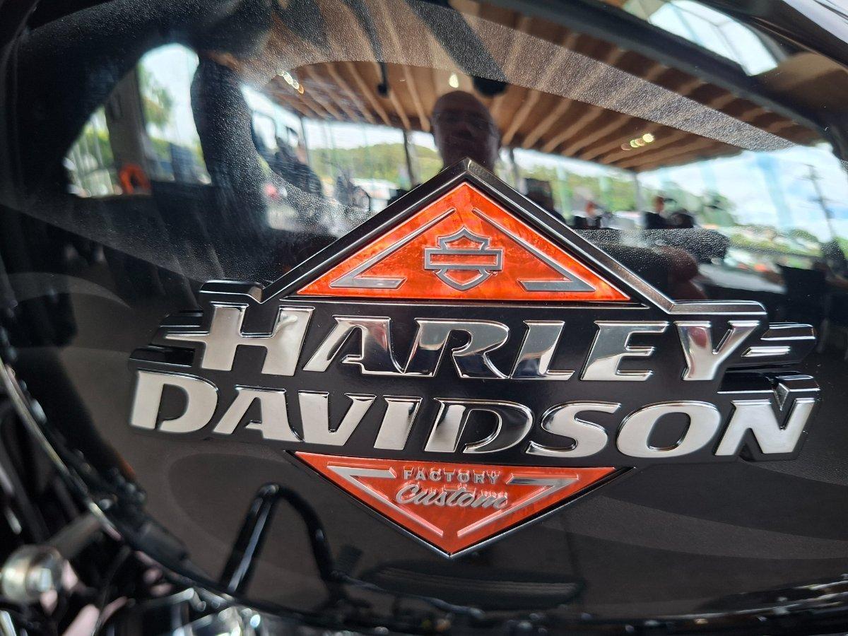 2025 HARLEY-DAVIDSON FLHX STREET GLIDE (117) CRUISER