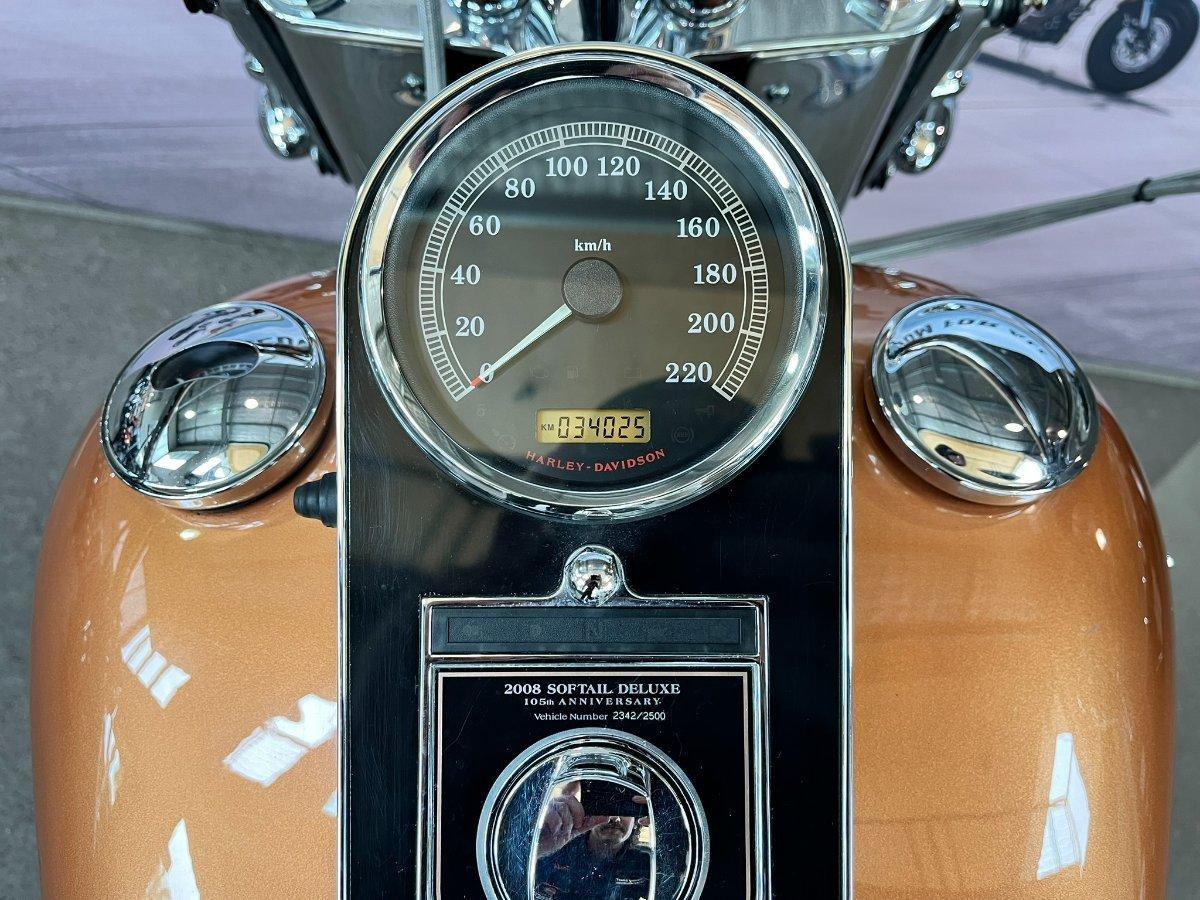 2009 HARLEY-DAVIDSON FLSTN SOFTAIL DELUXE 105 ANNIV CRUISER
