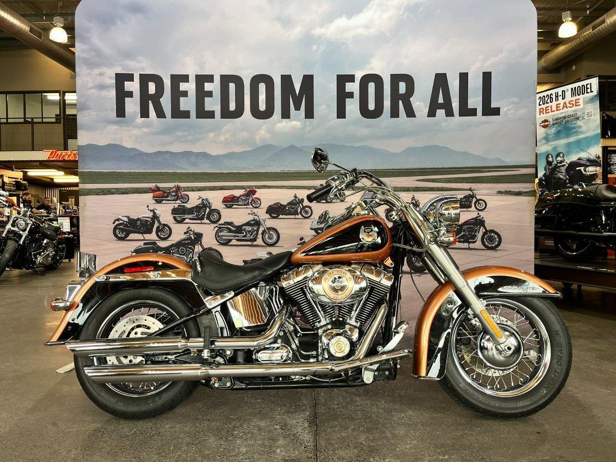 2009 HARLEY-DAVIDSON FLSTN SOFTAIL DELUXE 105 ANNIV CRUISER