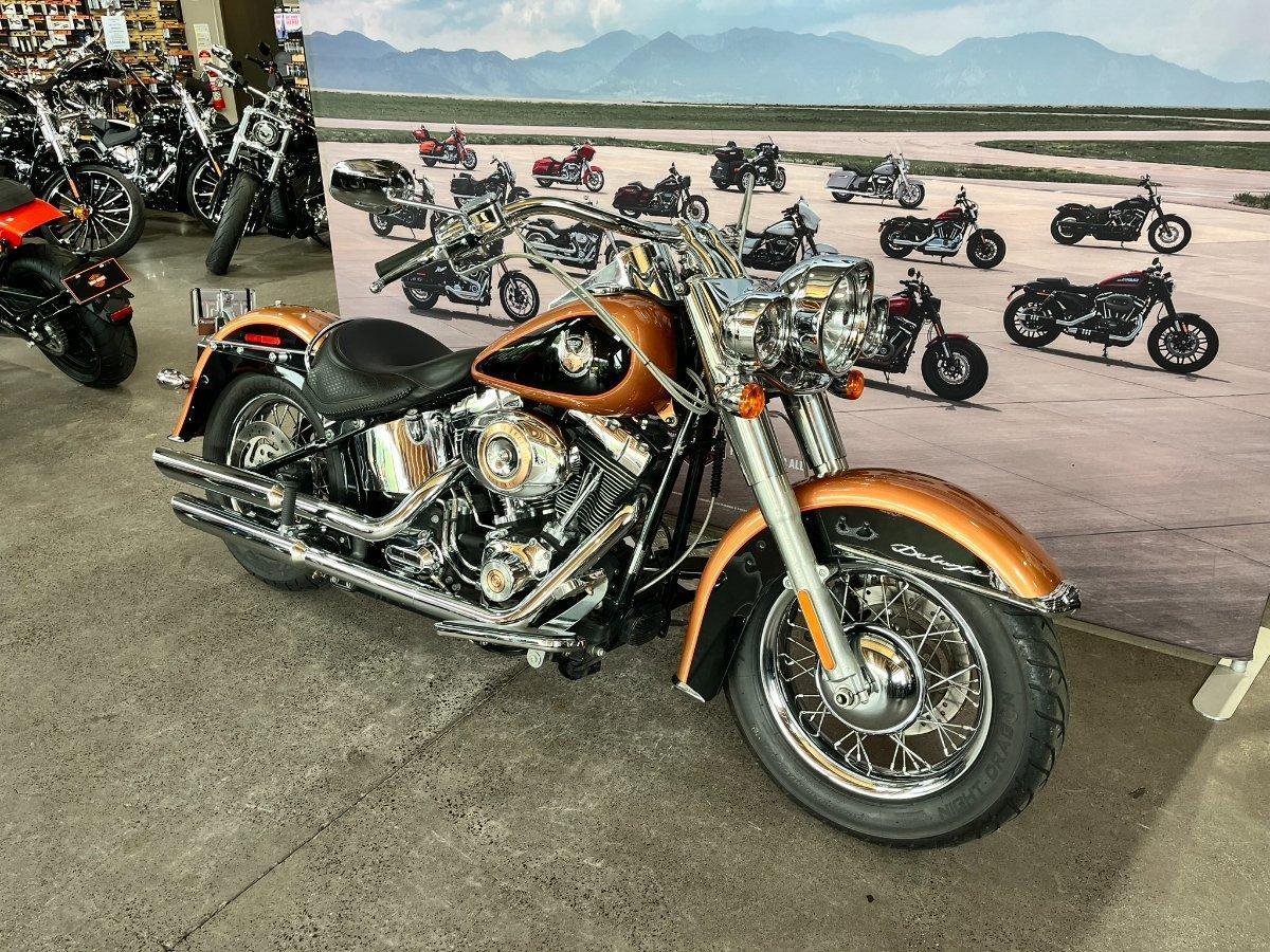 2009 HARLEY-DAVIDSON FLSTN SOFTAIL DELUXE 105 ANNIV CRUISER