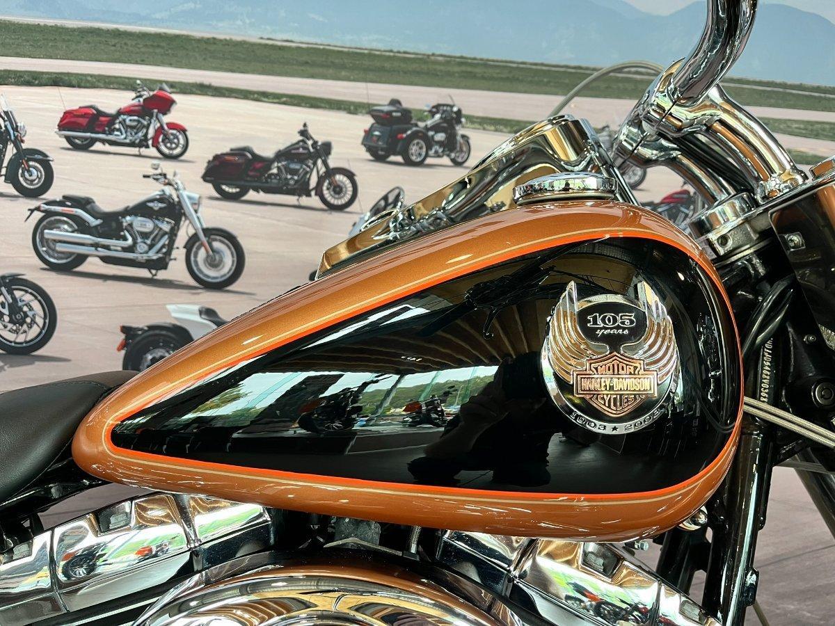 2009 HARLEY-DAVIDSON FLSTN SOFTAIL DELUXE 105 ANNIV CRUISER