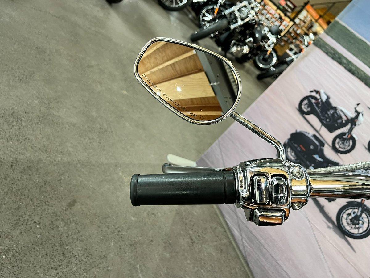 2009 HARLEY-DAVIDSON FLSTN SOFTAIL DELUXE 105 ANNIV CRUISER