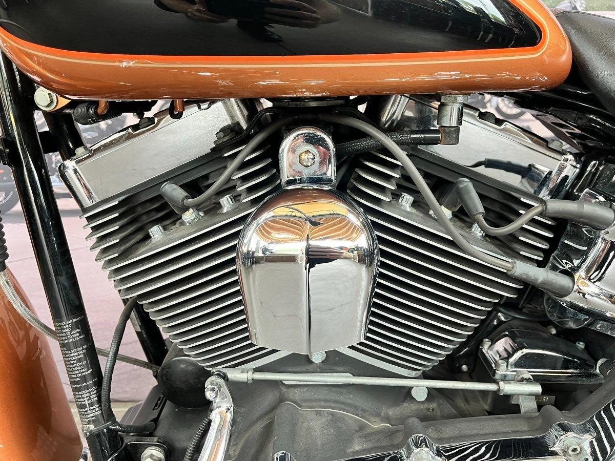 2009 HARLEY-DAVIDSON FLSTN SOFTAIL DELUXE 105 ANNIV CRUISER