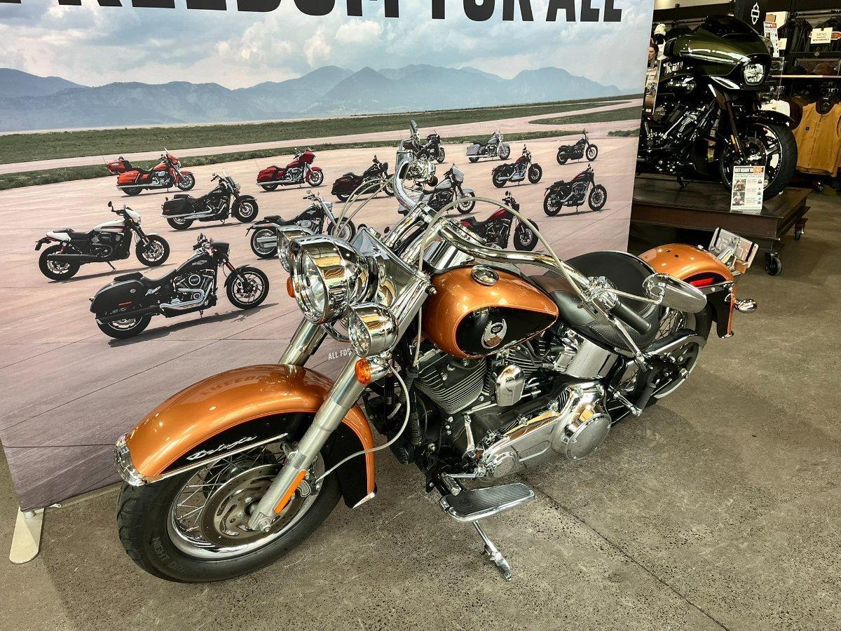 2009 HARLEY-DAVIDSON FLSTN SOFTAIL DELUXE 105 ANNIV CRUISER