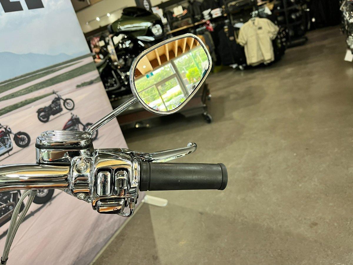 2009 HARLEY-DAVIDSON FLSTN SOFTAIL DELUXE 105 ANNIV CRUISER