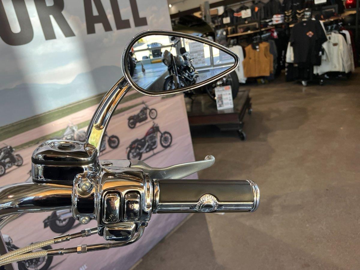 2009 HARLEY-DAVIDSON FXSTC SOFTAIL CUSTOM CRUISER