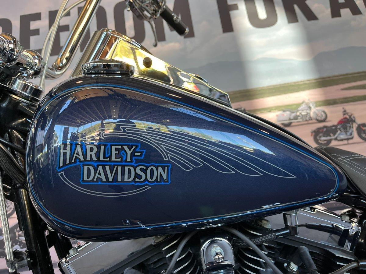 2009 HARLEY-DAVIDSON FXSTC SOFTAIL CUSTOM CRUISER