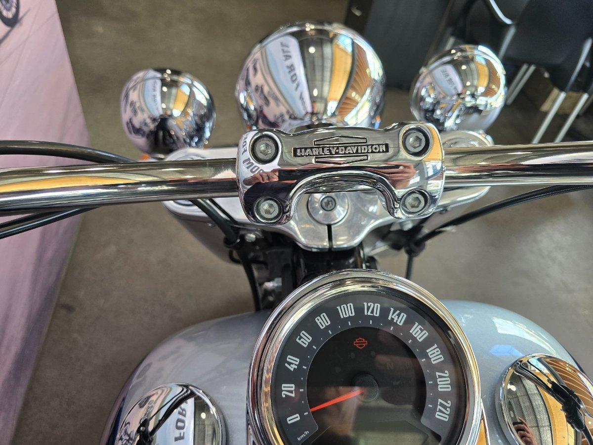 2019 HARLEY-DAVIDSON FLDE DELUXE (107) CRUISER