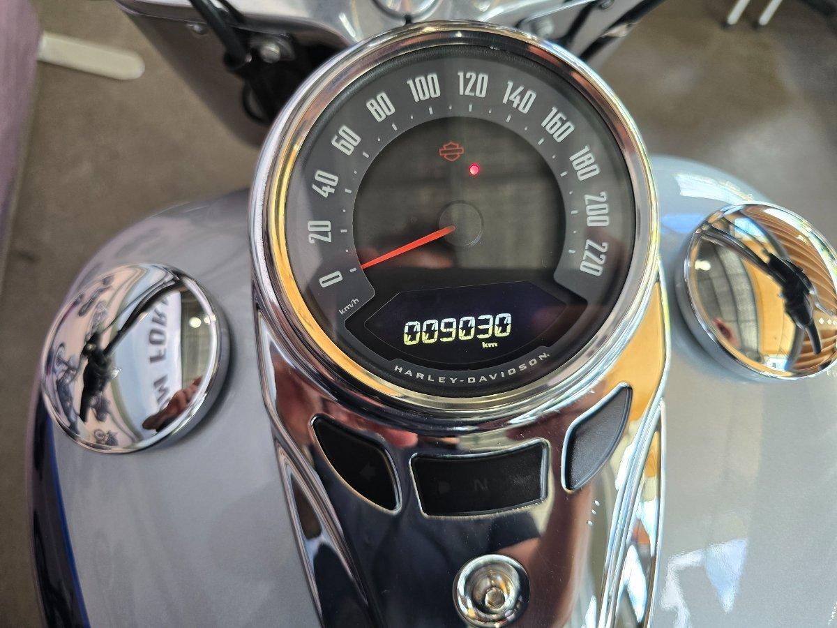 2019 HARLEY-DAVIDSON FLDE DELUXE (107) CRUISER