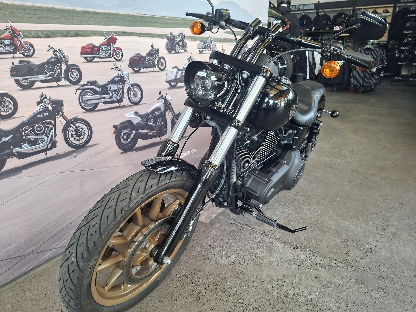 2017 HARLEY-DAVIDSON FXDLS LOW RIDER S CRUISER
