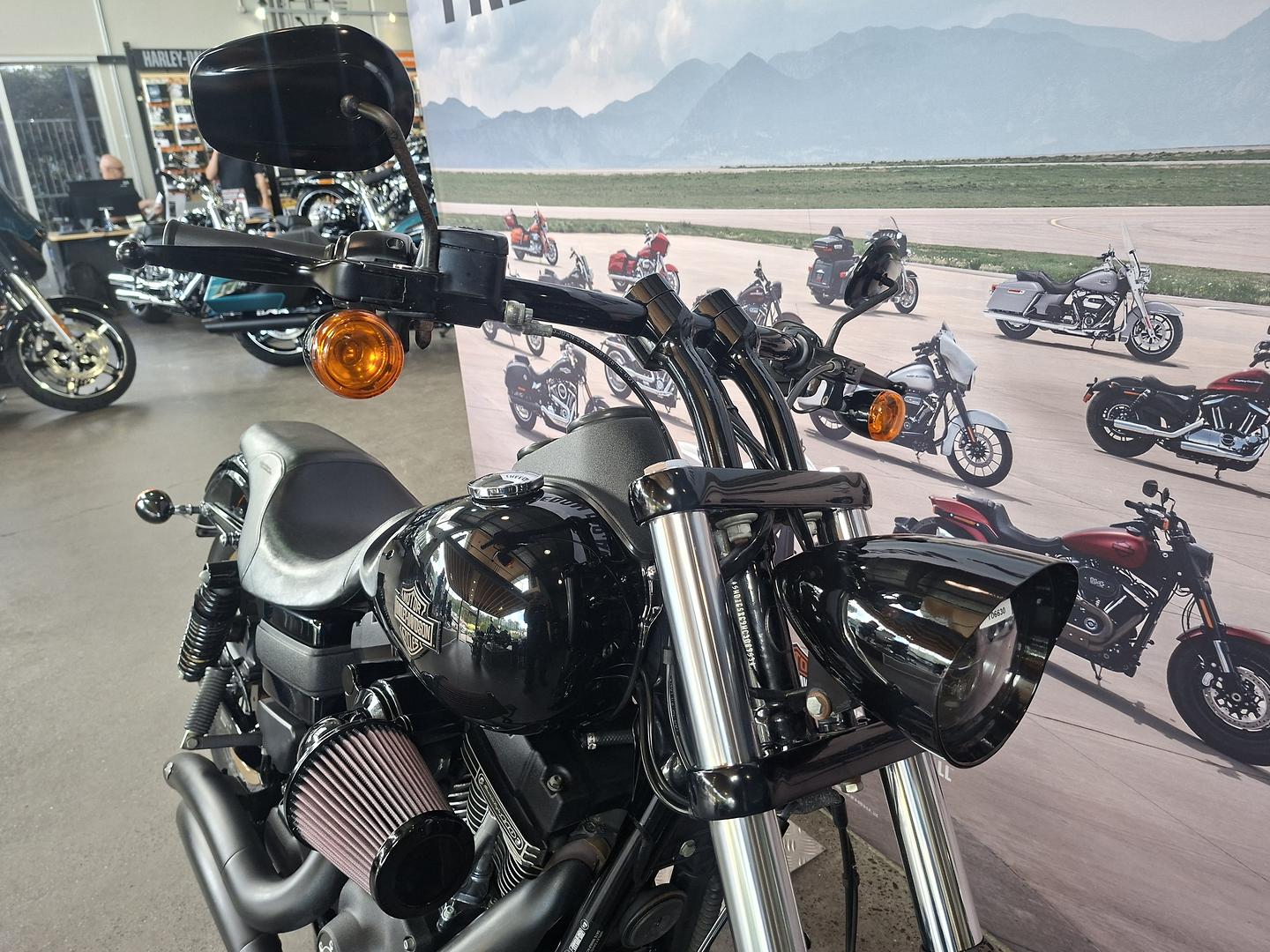 2017 HARLEY-DAVIDSON FXDLS LOW RIDER S CRUISER
