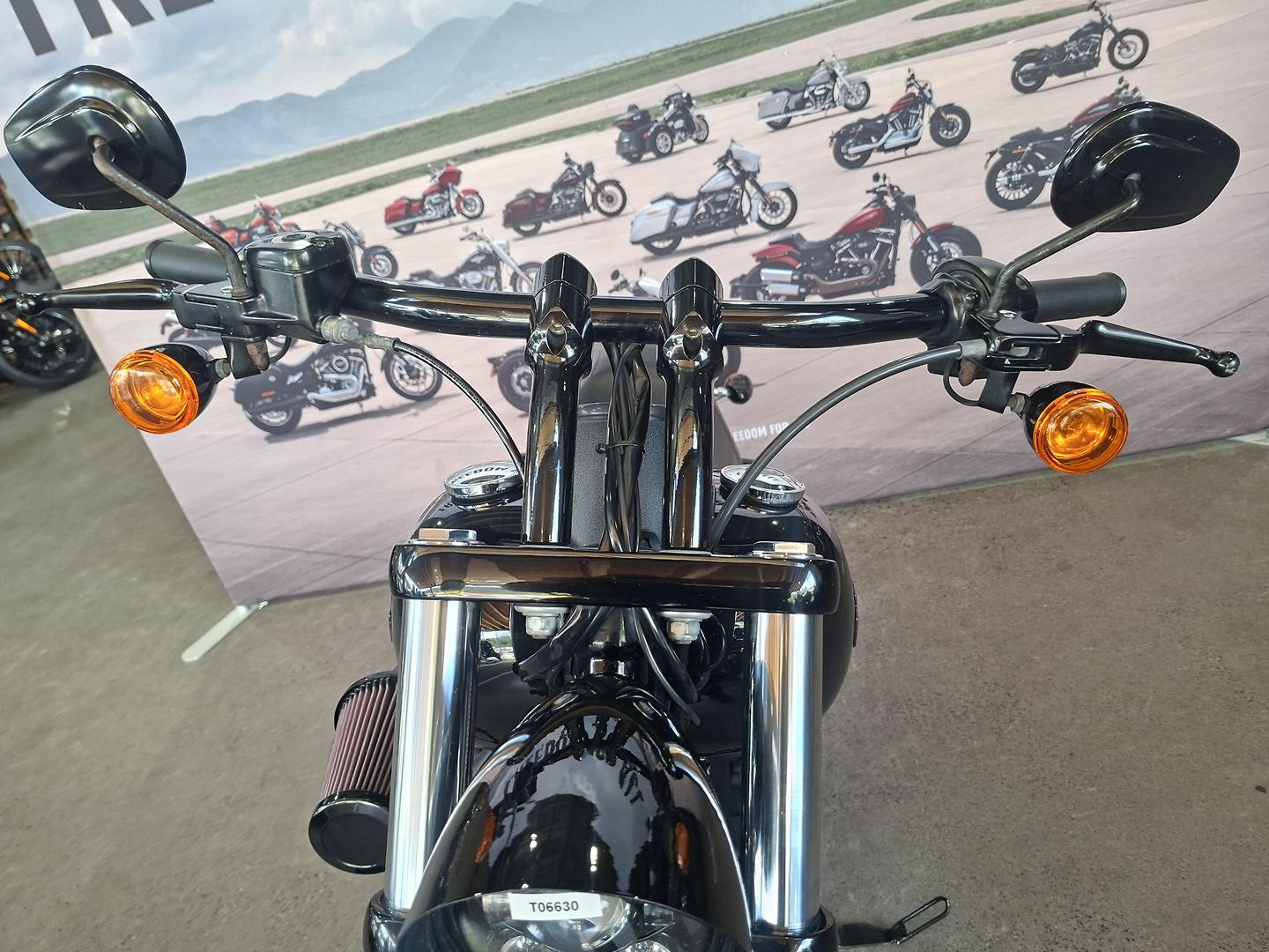 2017 HARLEY-DAVIDSON FXDLS LOW RIDER S CRUISER