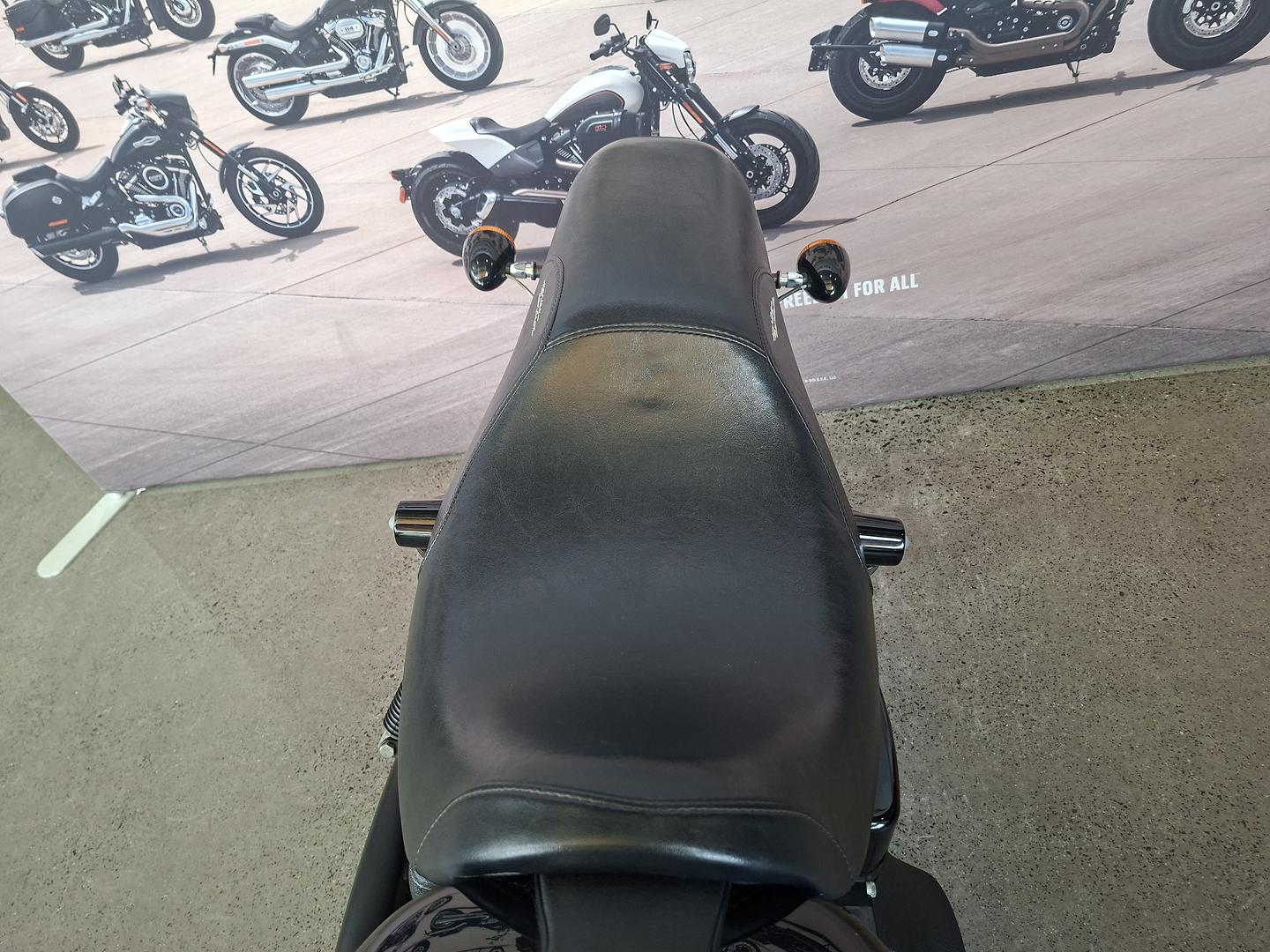 2017 HARLEY-DAVIDSON FXDLS LOW RIDER S CRUISER