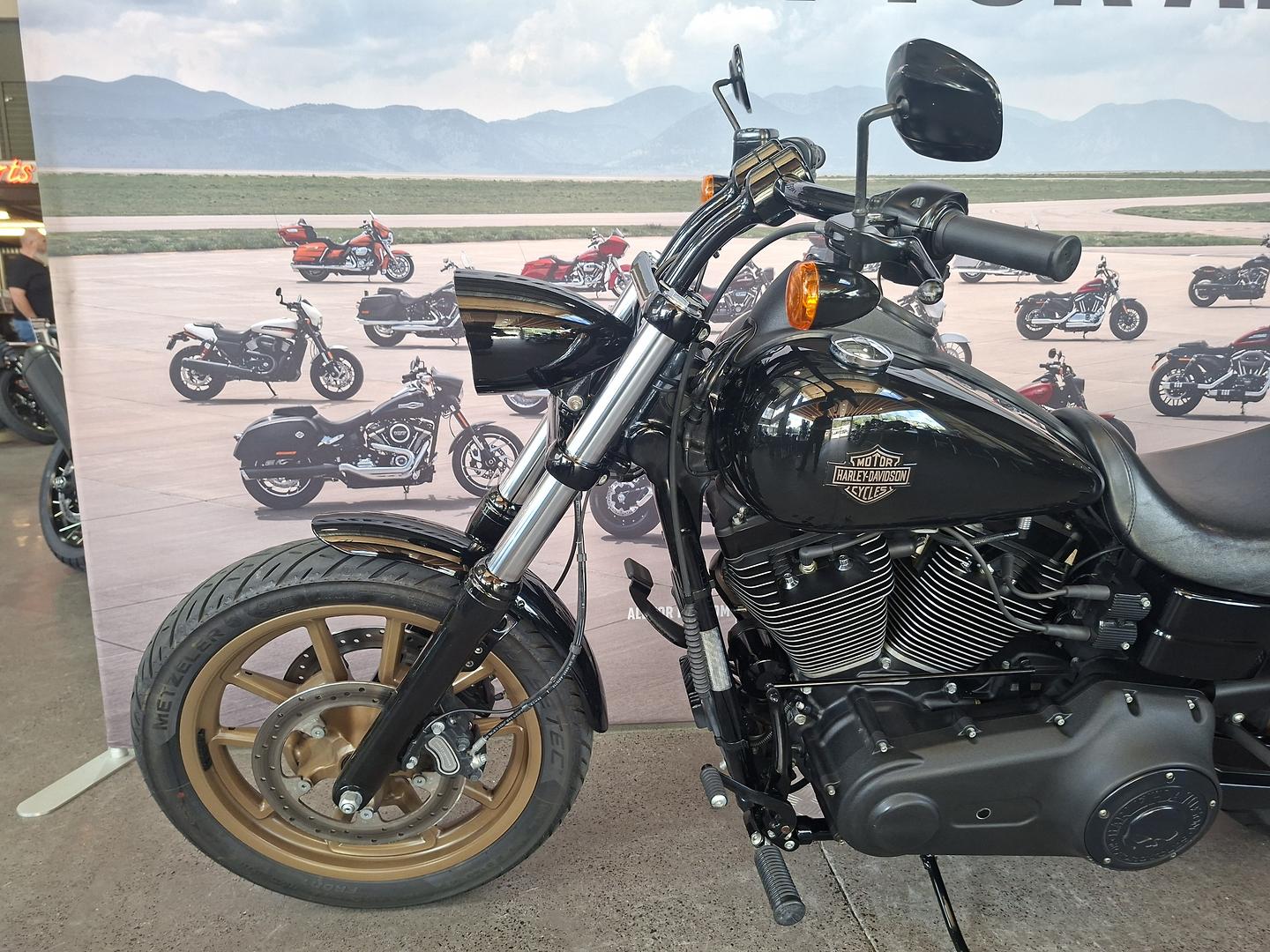 2017 HARLEY-DAVIDSON FXDLS LOW RIDER S CRUISER