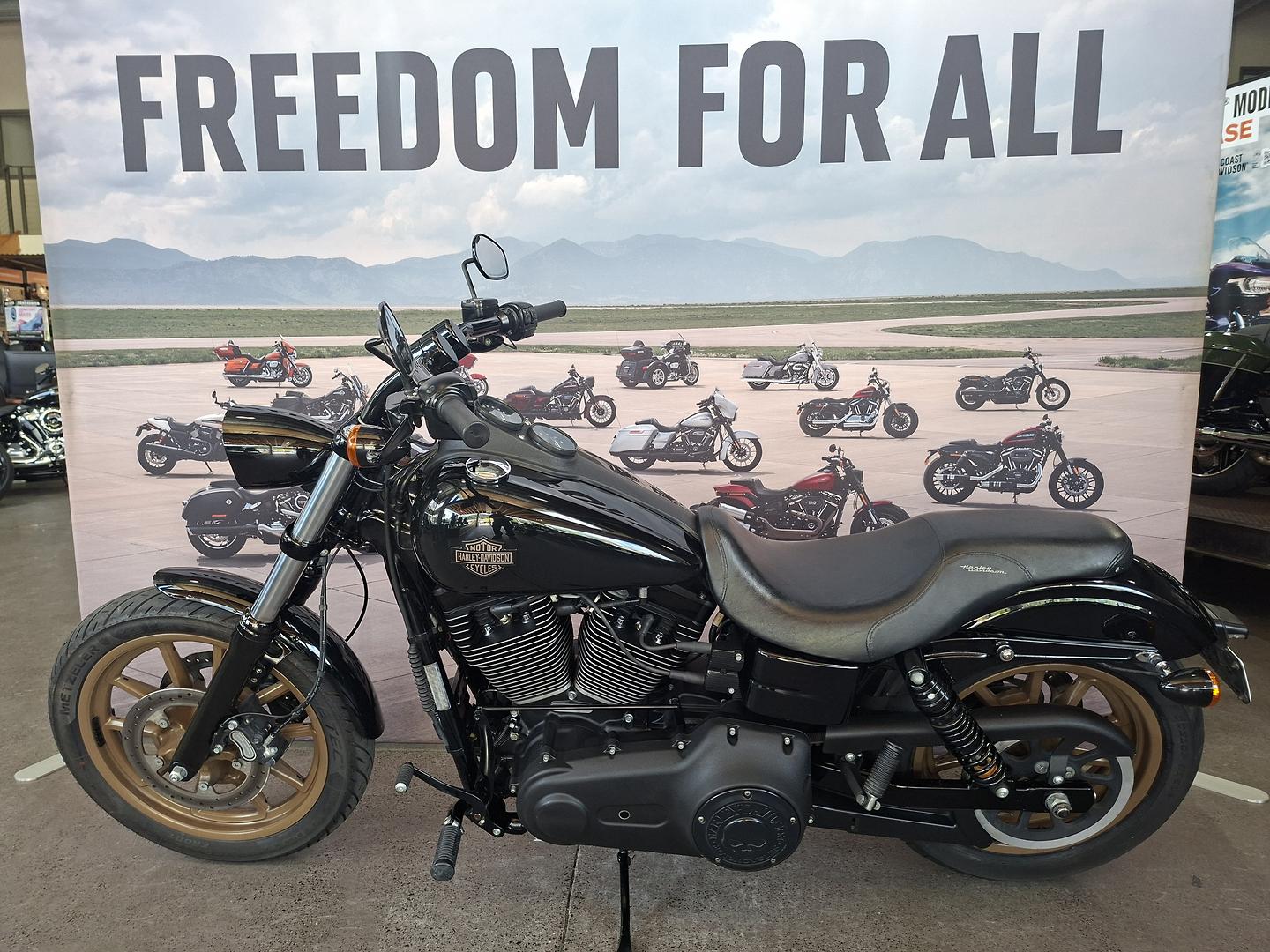 2017 HARLEY-DAVIDSON FXDLS LOW RIDER S CRUISER