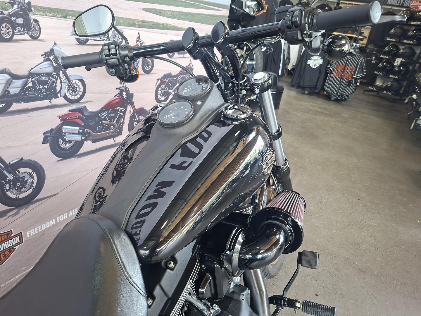 2017 HARLEY-DAVIDSON FXDLS LOW RIDER S CRUISER
