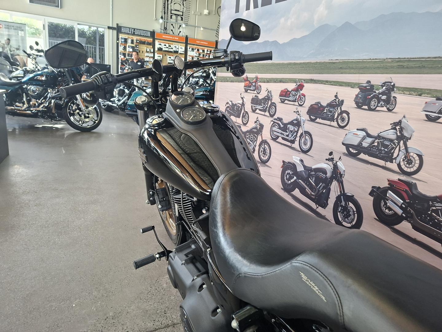 2017 HARLEY-DAVIDSON FXDLS LOW RIDER S CRUISER