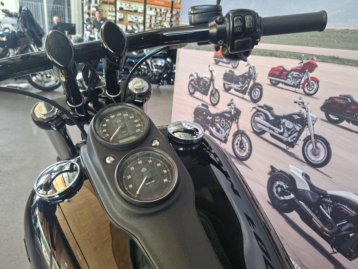 2017 HARLEY-DAVIDSON FXDLS LOW RIDER S CRUISER