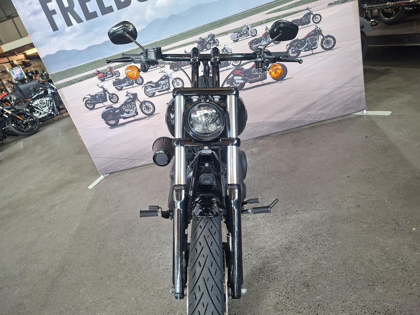 2017 HARLEY-DAVIDSON FXDLS LOW RIDER S CRUISER