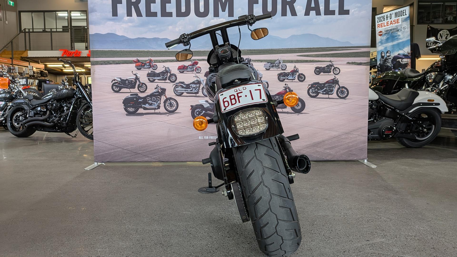 2024 HARLEY-DAVIDSON FXLRS LOW RIDER S (117) CRUISER