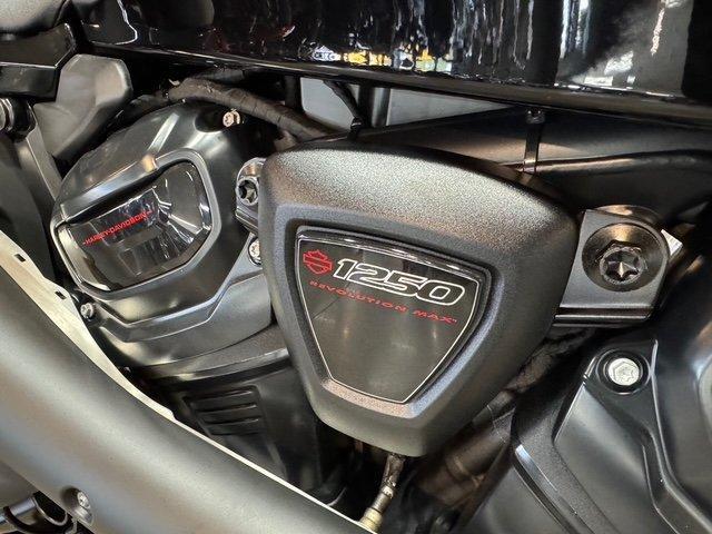 2025 HARLEY-DAVIDSON RH1250S SPORTSTER S CRUISER