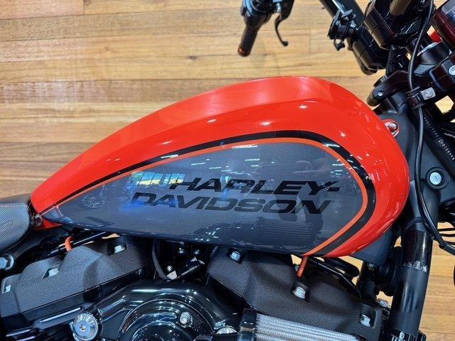 2019 HARLEY-DAVIDSON FXDRS FXDR (114) CRUISER