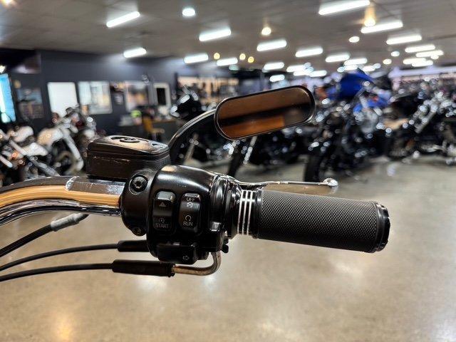 2013 HARLEY-DAVIDSON FLSTF FAT BOY CRUISER